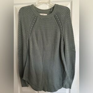 LOFT Textured Knit Sweater in Sage
